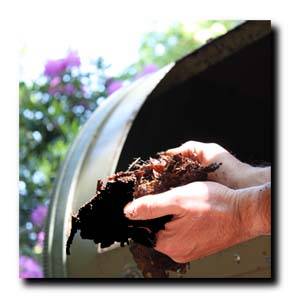 Norfolk Composting